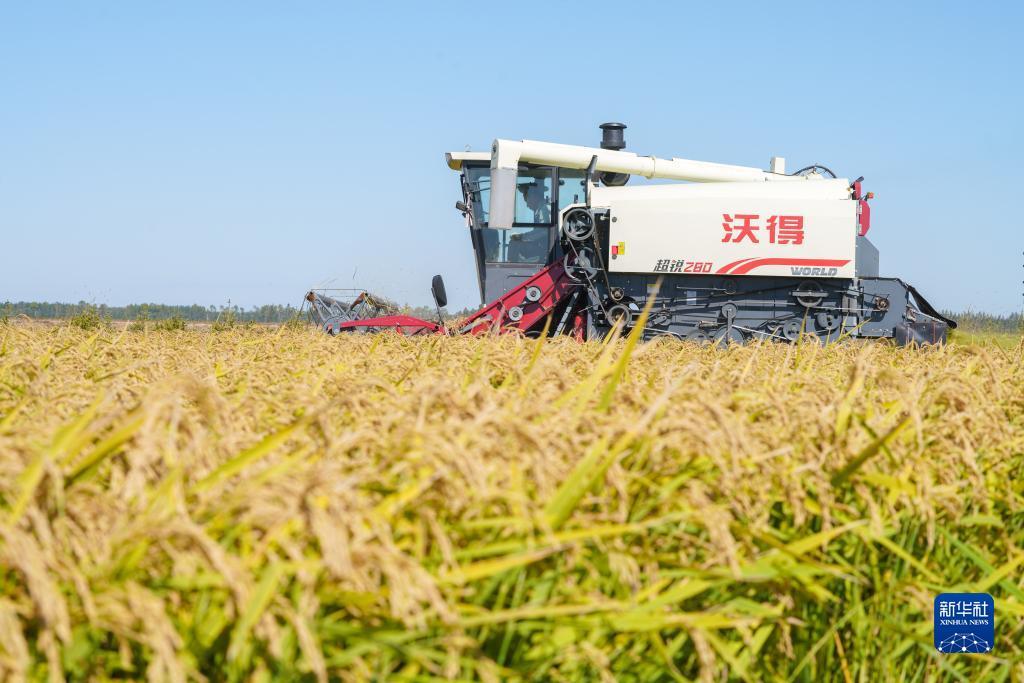 大发国际登录入口